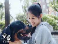 山西龙铝科贸有限公司