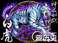 山西龙铝科贸有限公司