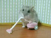 山西龙铝科贸有限公司