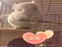 山西龙铝科贸有限公司