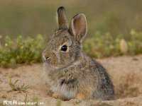 山西龙铝科贸有限公司