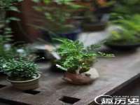 山西龙铝科贸有限公司