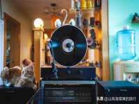 山西龙铝科贸有限公司