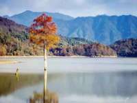 山西龙铝科贸有限公司