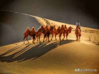 山西龙铝科贸有限公司