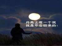 山西龙铝科贸有限公司