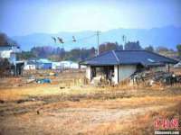 山西龙铝科贸有限公司