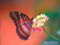 山西龙铝科贸有限公司