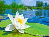 山西龙铝科贸有限公司