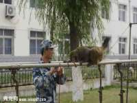 山西龙铝科贸有限公司