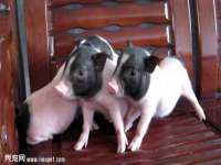 山西龙铝科贸有限公司