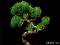 山西龙铝科贸有限公司