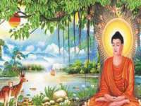 山西龙铝科贸有限公司